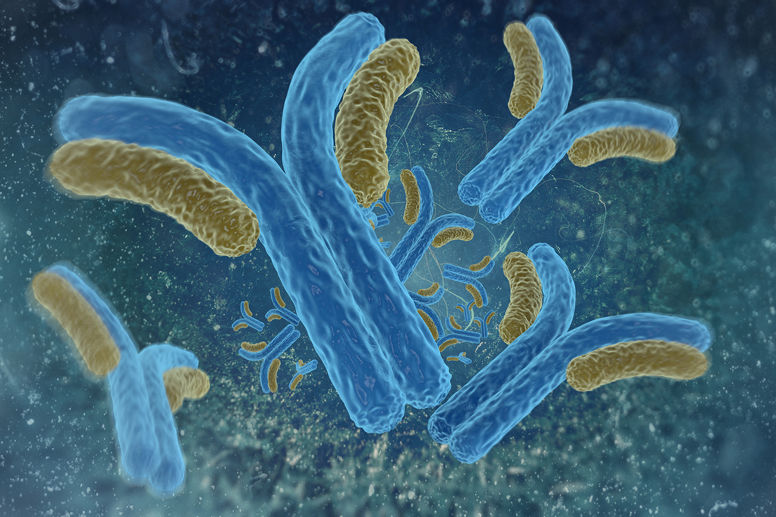 Inmunoglobulins