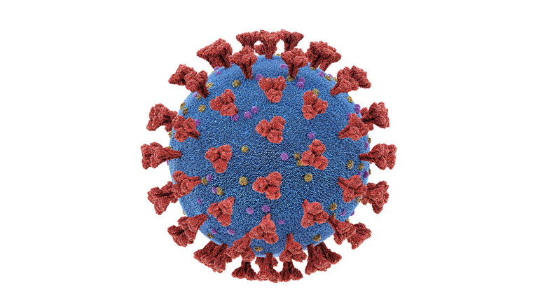 coronavirus fondo blanco
