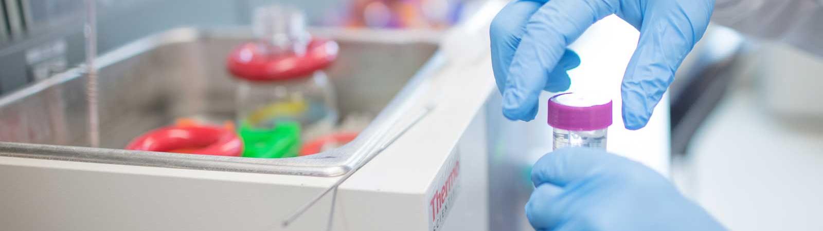 Vial en laboratorio